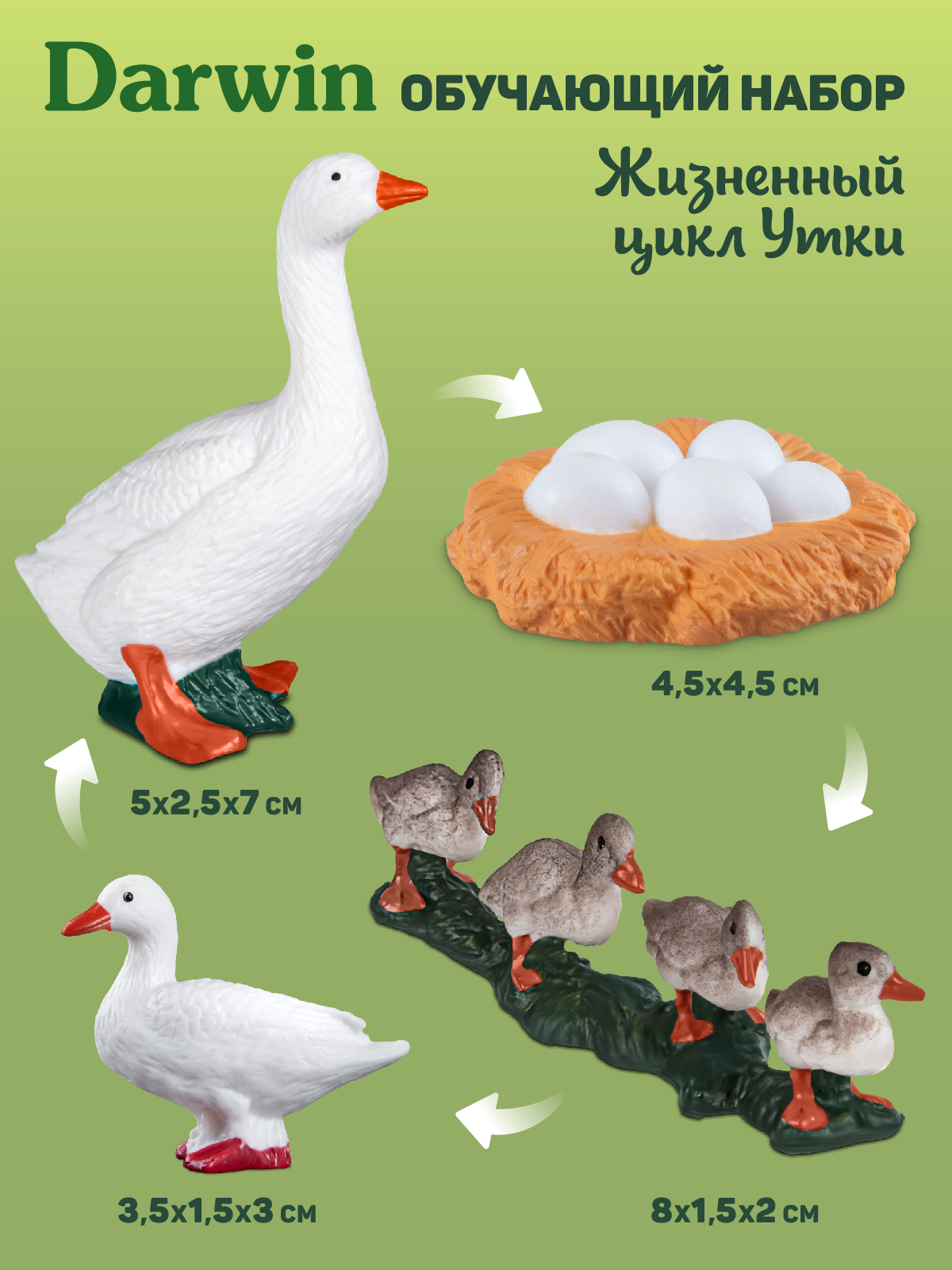 Игровой набор DARWIN Животные Утка - фото 3