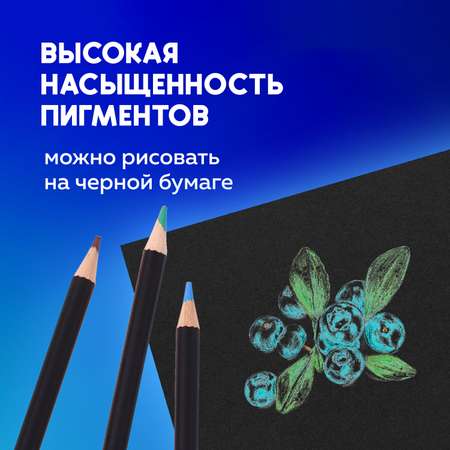 Карандаши цветные Brauberg 36 шт.