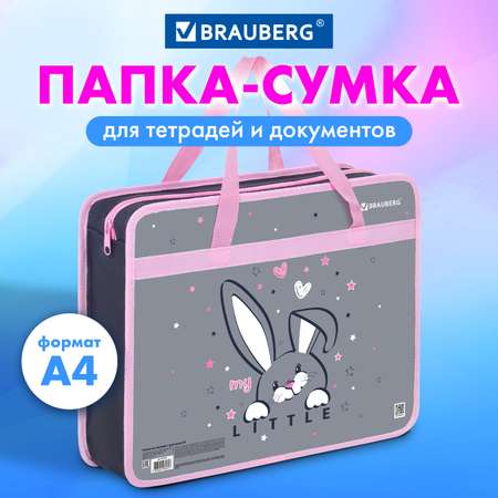 Папка для тетрадей Brauberg А4
