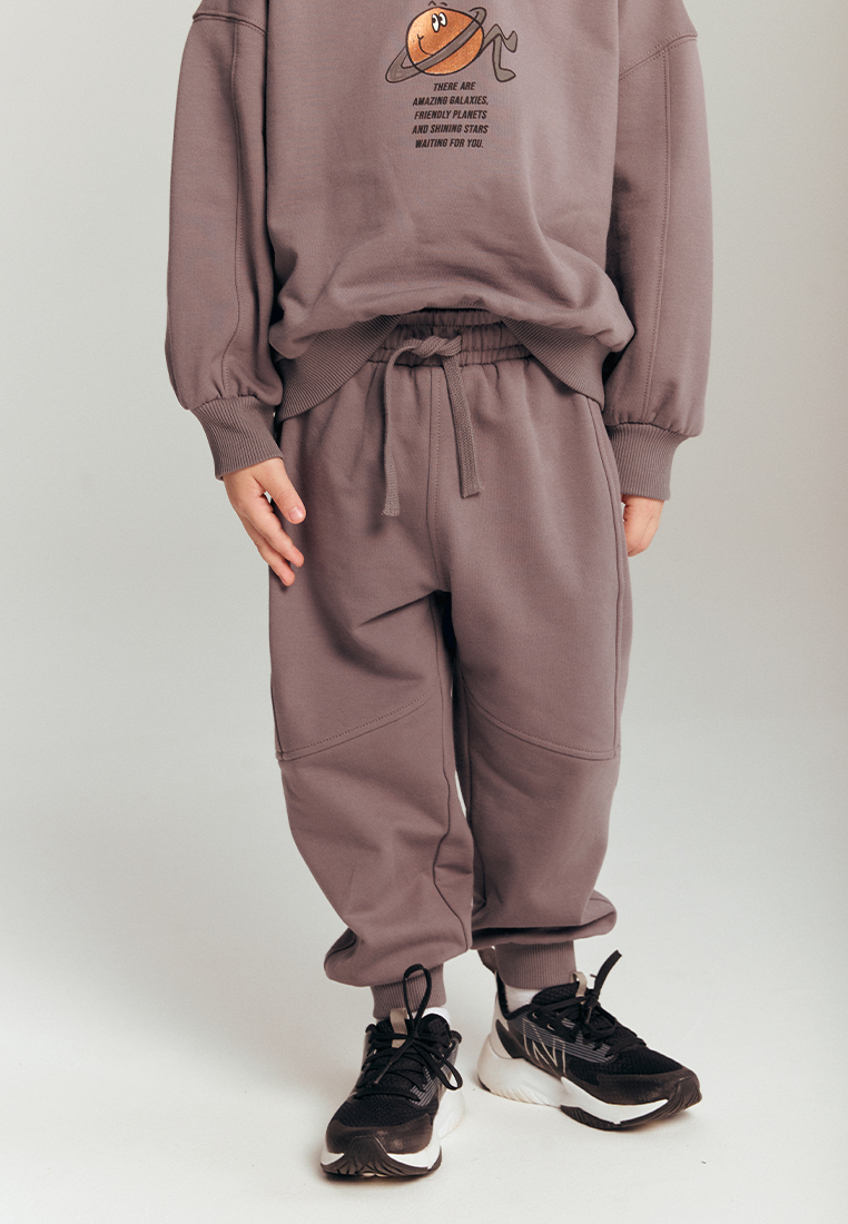 Брюки artie W25M08BR-1379M/Серый - фото 1