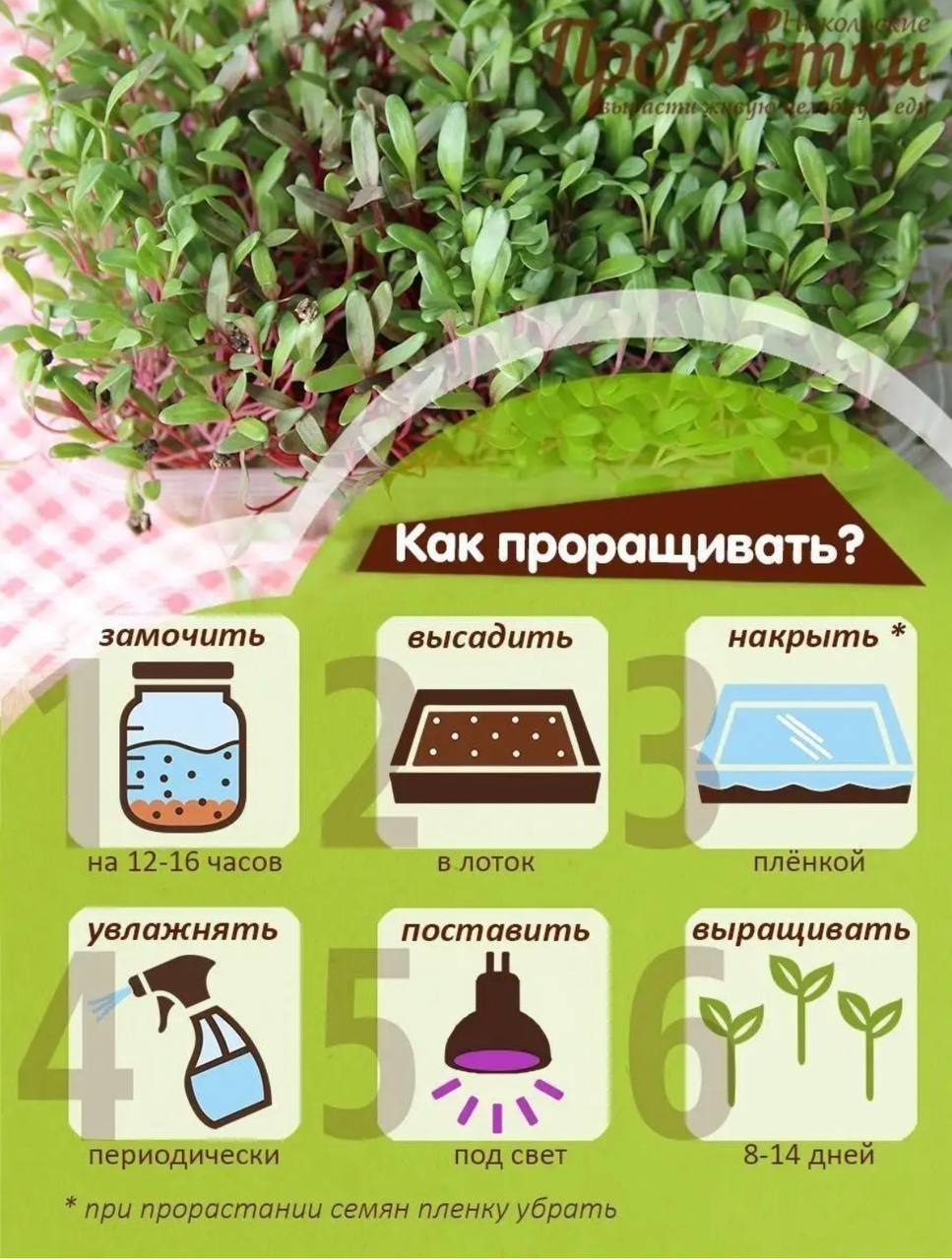 Семена для микрозелени MegaMedia мангольд - фото 8