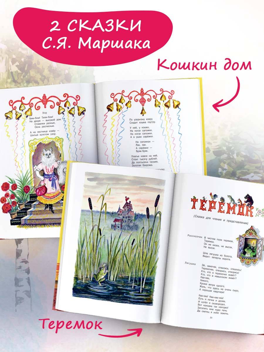 Книга АСТ Кошкин дом. Рис. Васнецова Ю. - фото 4