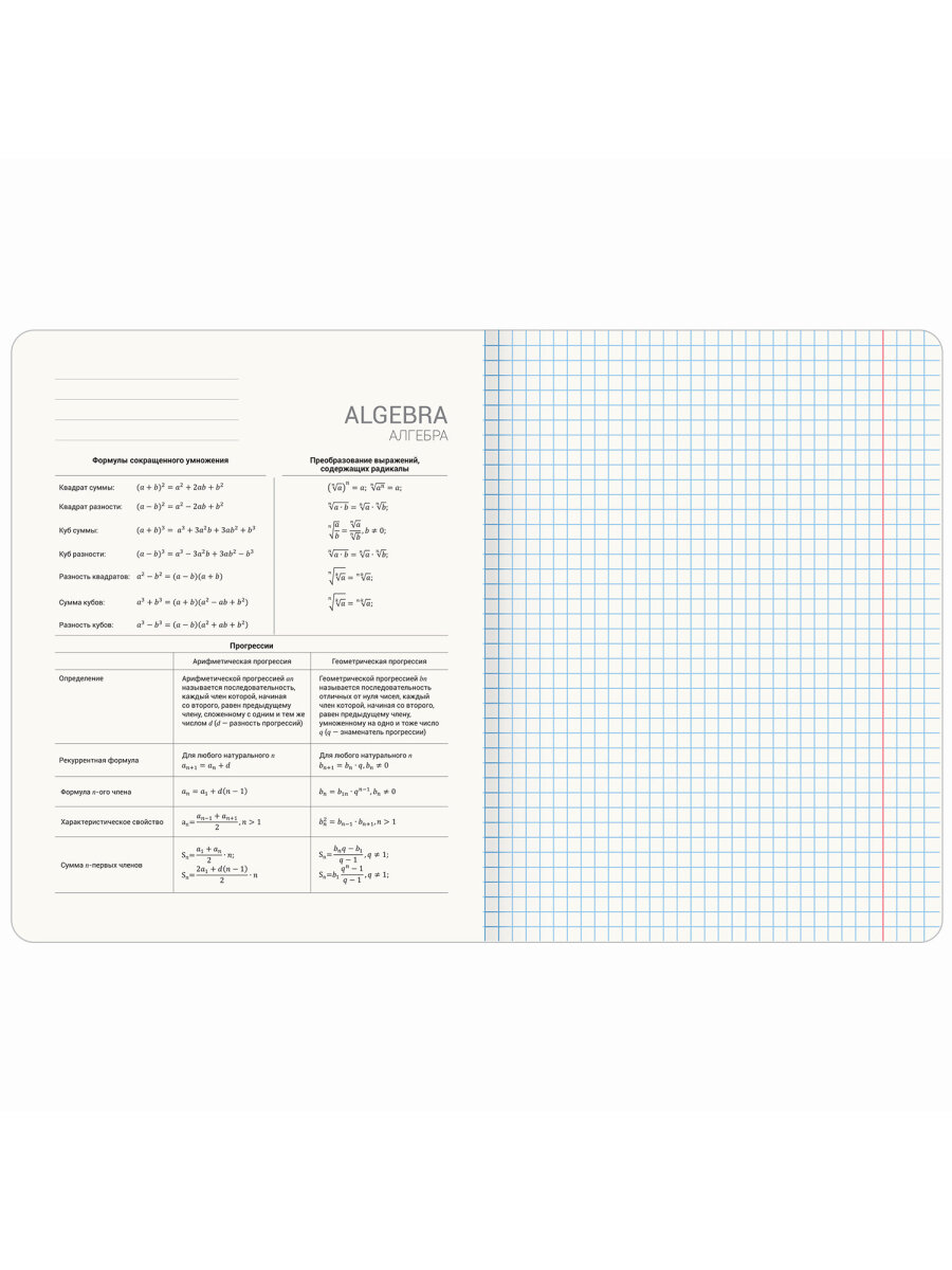 Тетрадь Brauberg 48 лист. 12 шт. - фото 7