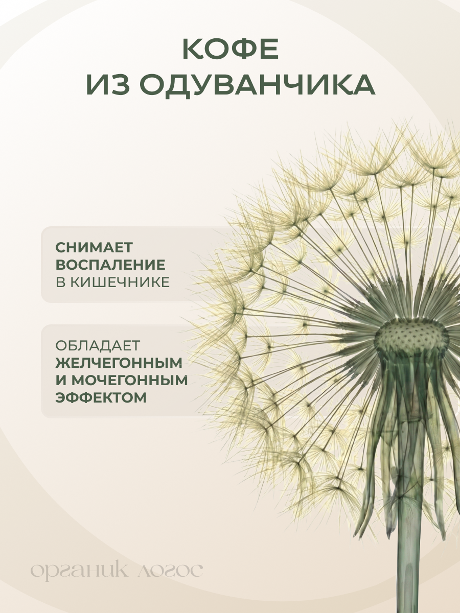 Кофе из одуванчика Без кофеина ОРГАНИК ЛОГОС 200 г - фото 4