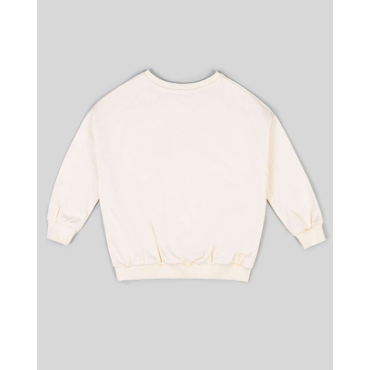 Свитшот BabyGo SS22-IN214BGig-00 - фото 3