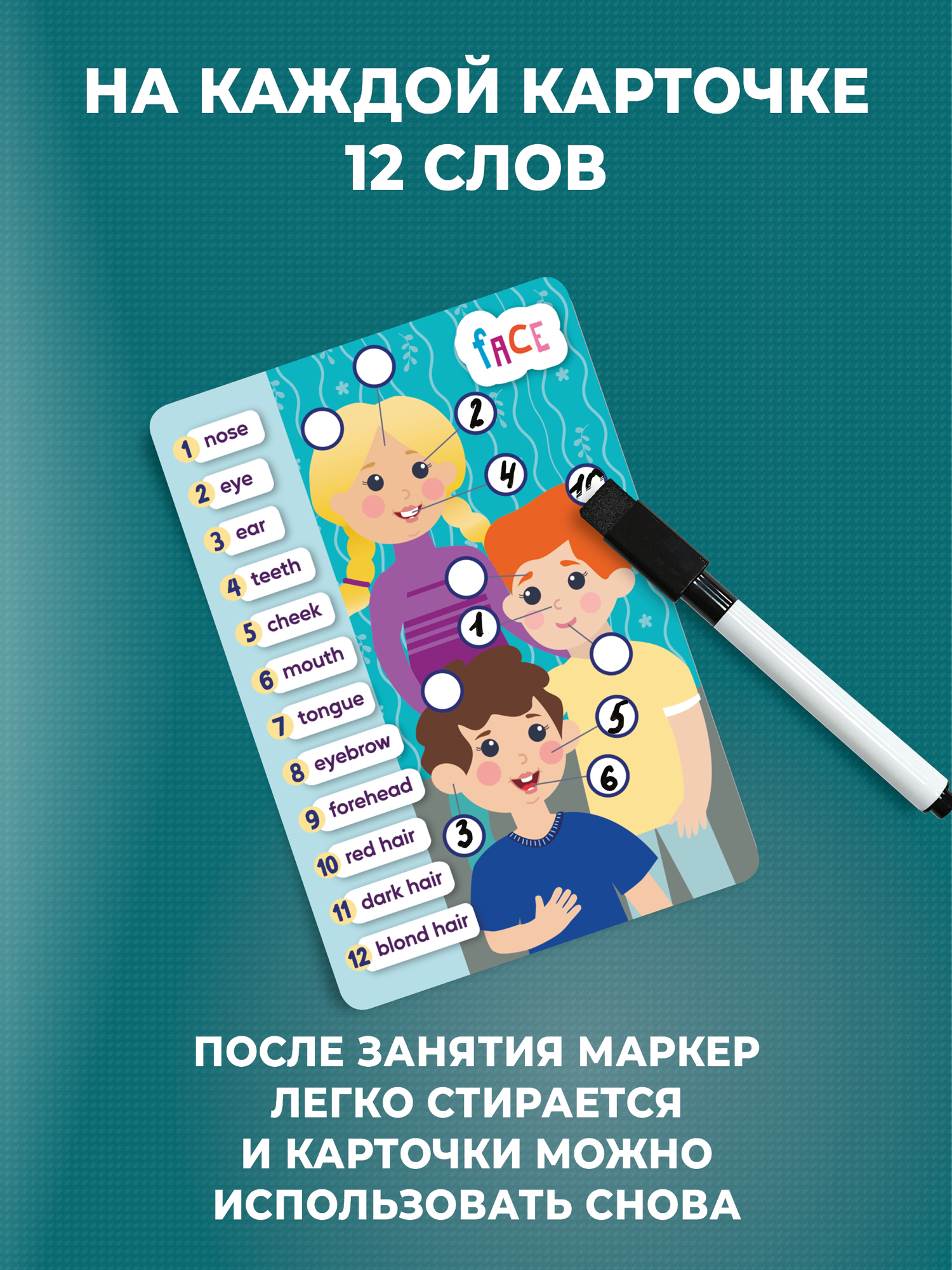Настольная игра Дрофа-Медиа 600 Английских слов - фото 5