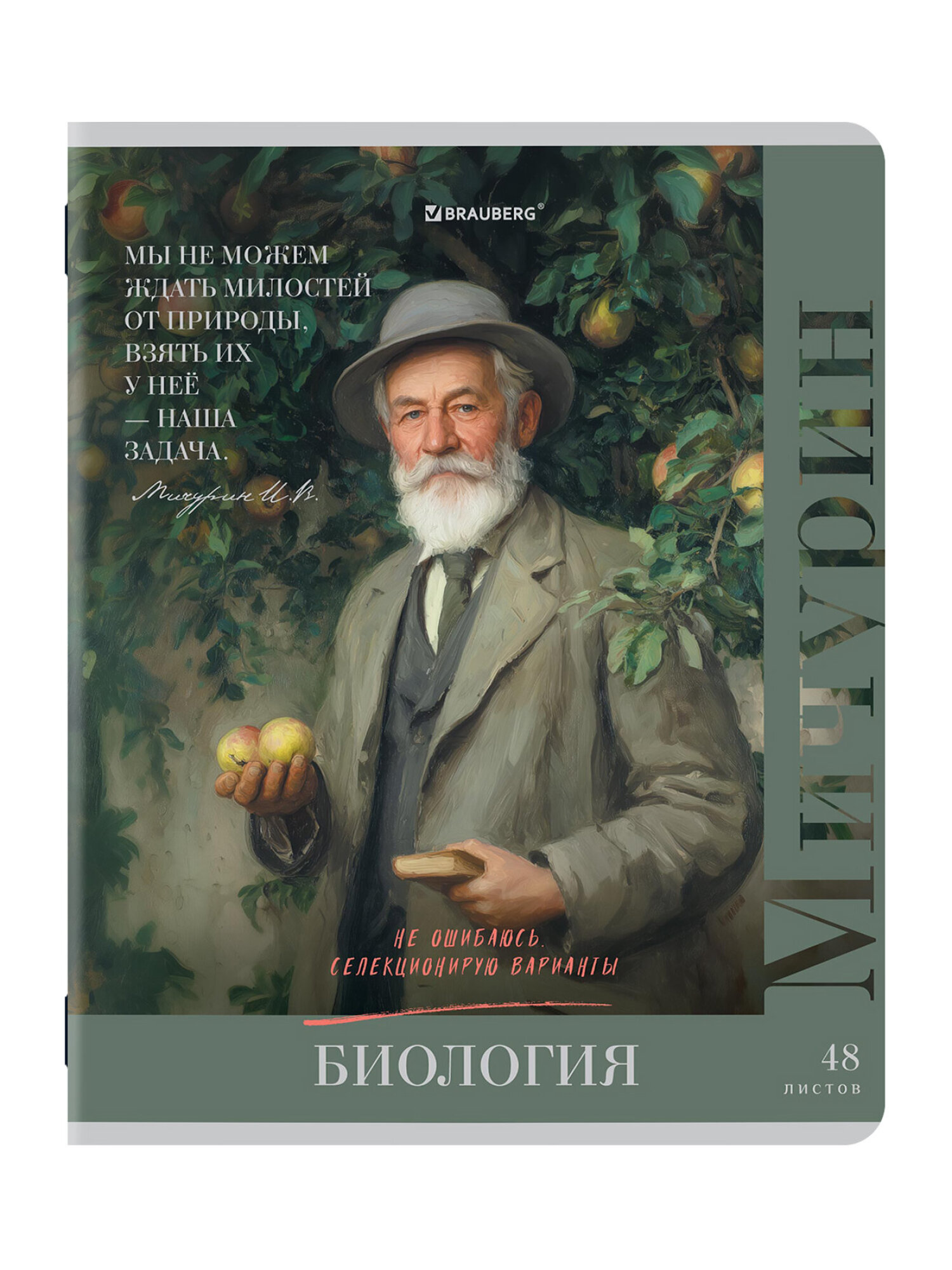 Тетрадь Brauberg 48 лист. 12 шт. - фото 9