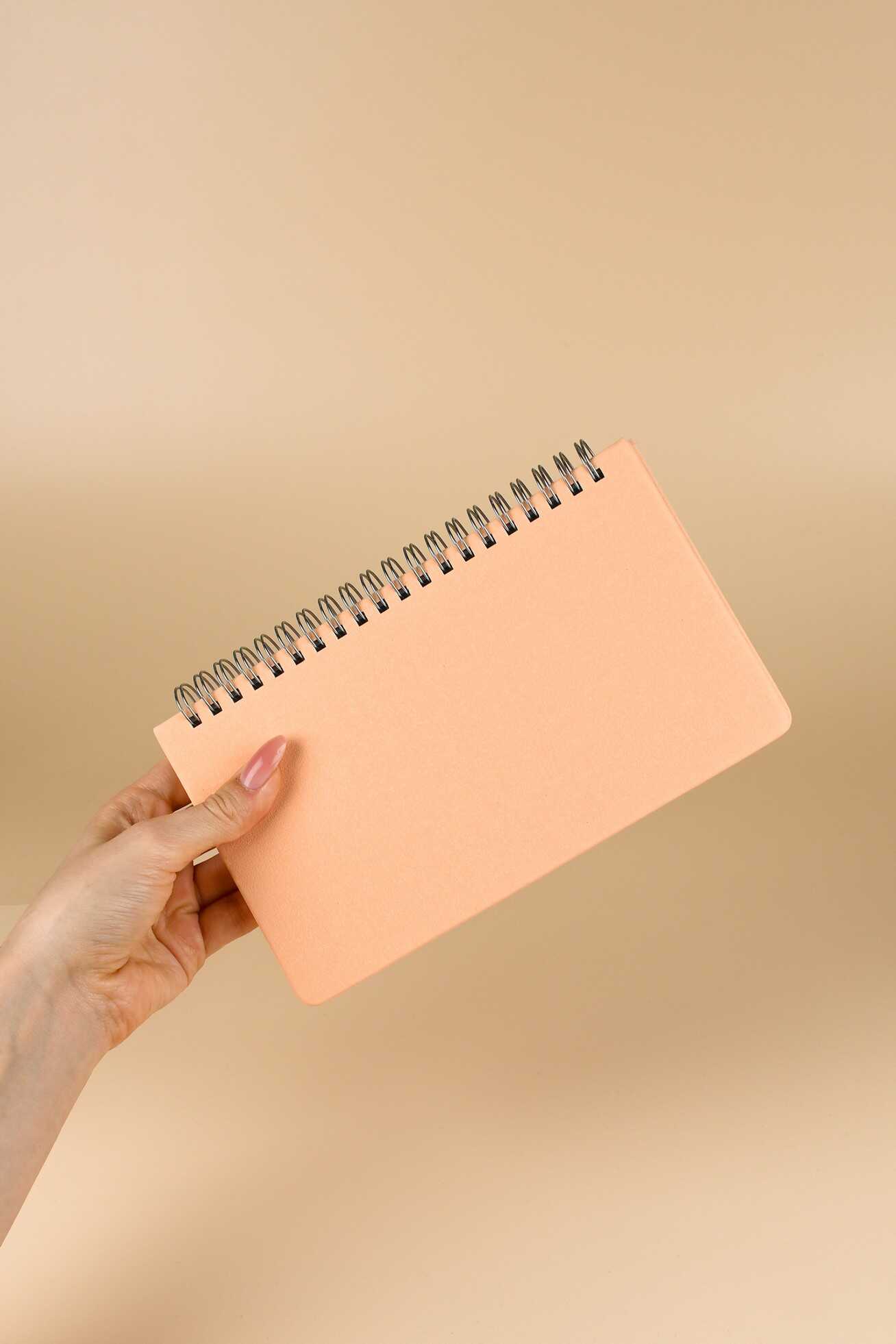 Ежедневник Феникс + ESCALADA 68 лист. - фото 10