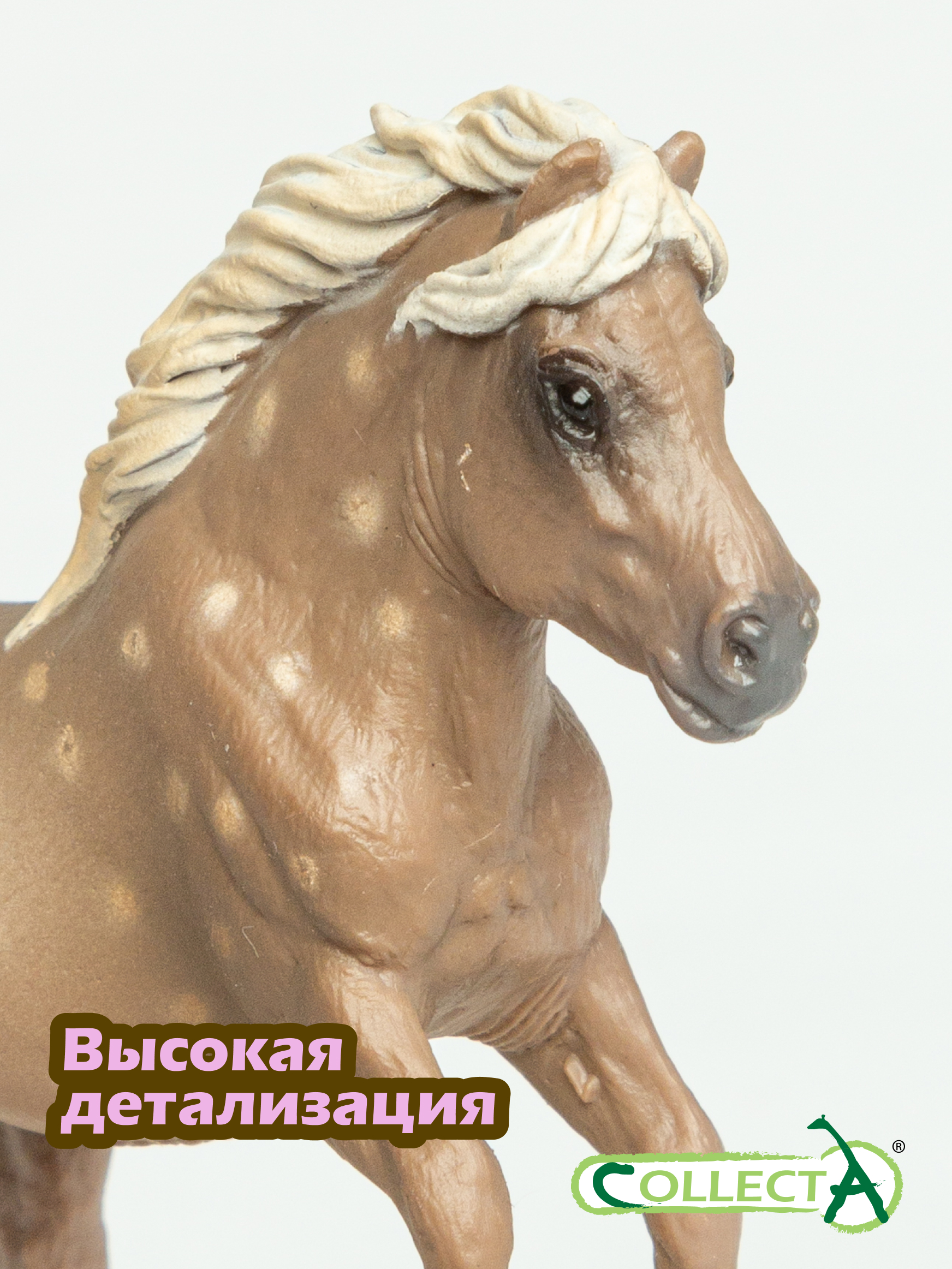 Фигурка Collecta Пони Шетландский - фото 3