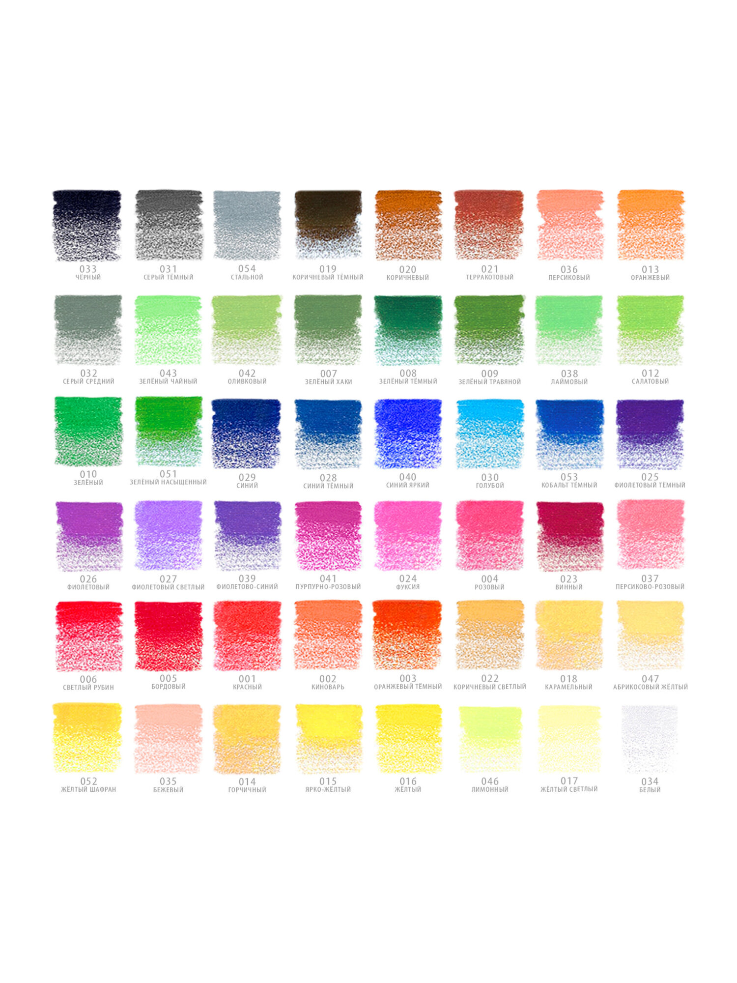 Карандаши цветные Brauberg 48 шт. - фото 19