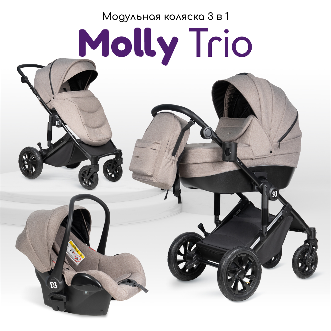 Коляска 3в1 Farfello Molly Trio - фото 1