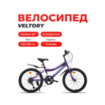 Двухколесный велосипед Veltory 20 дюймов