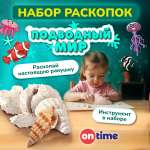 Набор для раскопок ON TIME Ракушка