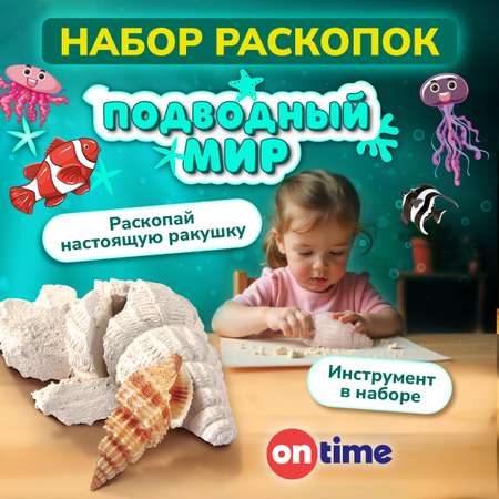 Набор для раскопок ON TIME Ракушка