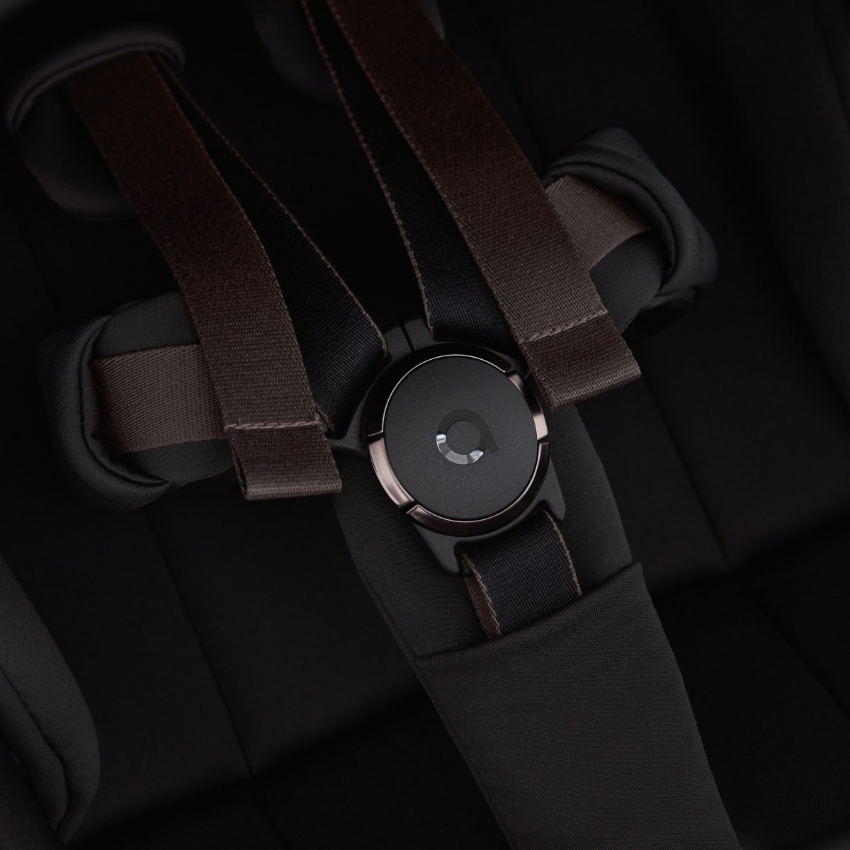 Коляска 2в1 Anex Flo черный - фото 30