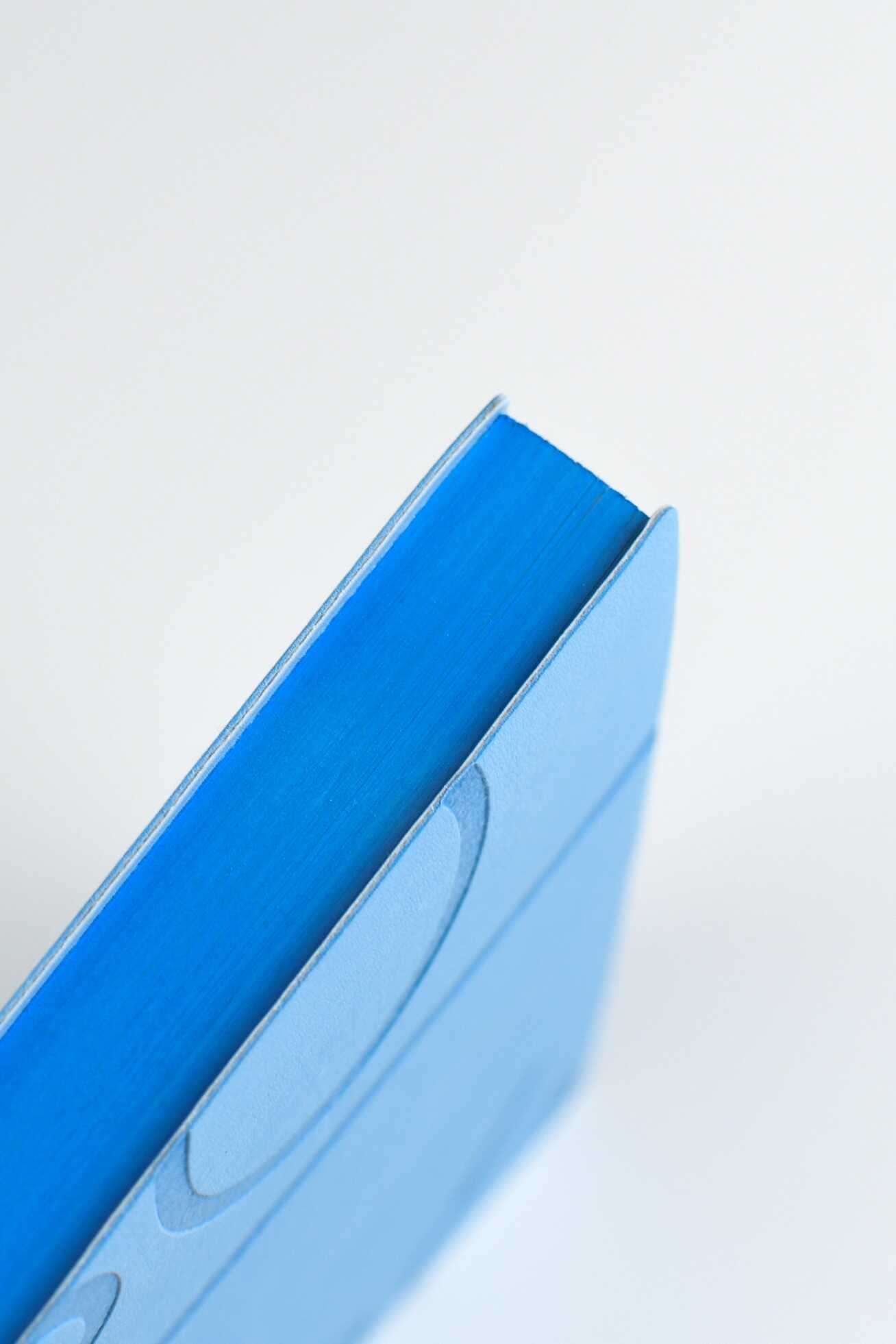 Ежедневник Феникс + ESCALADA 176 лист. - фото 5