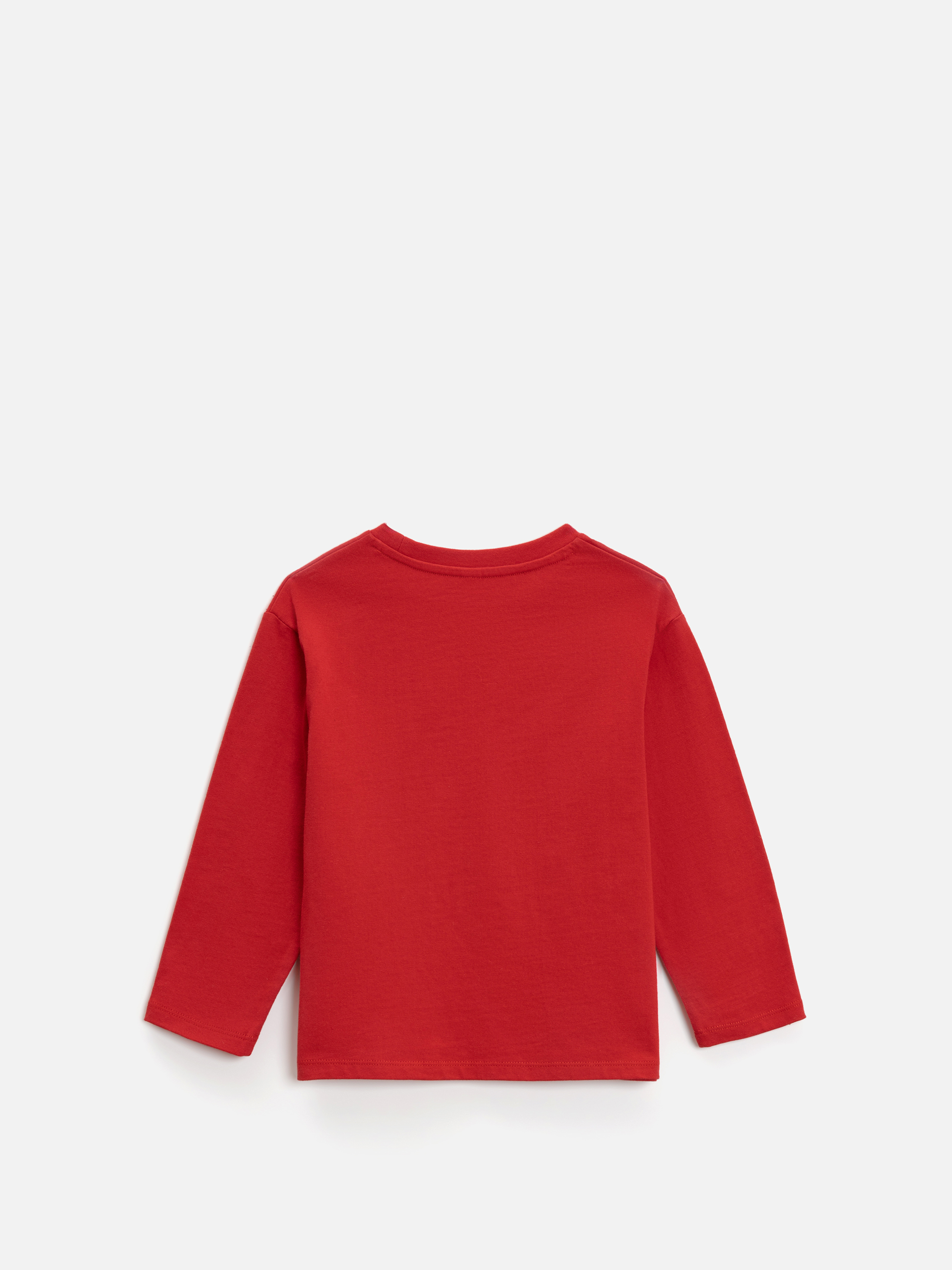 Лонгслив Acoola 20120150141_0093489 - фото 6