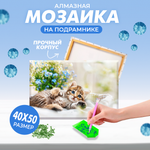 Алмазная мозаика Solmax
