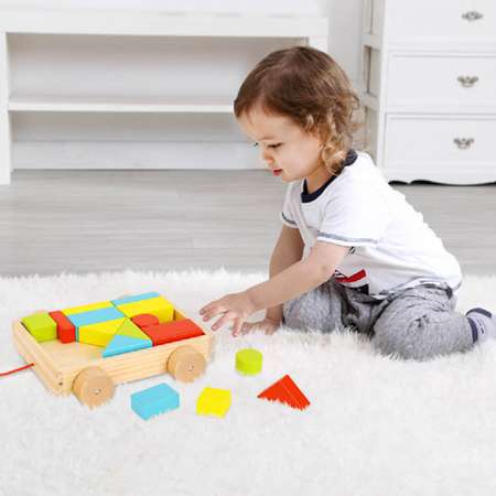 Игрушка Tooky Toy каталка