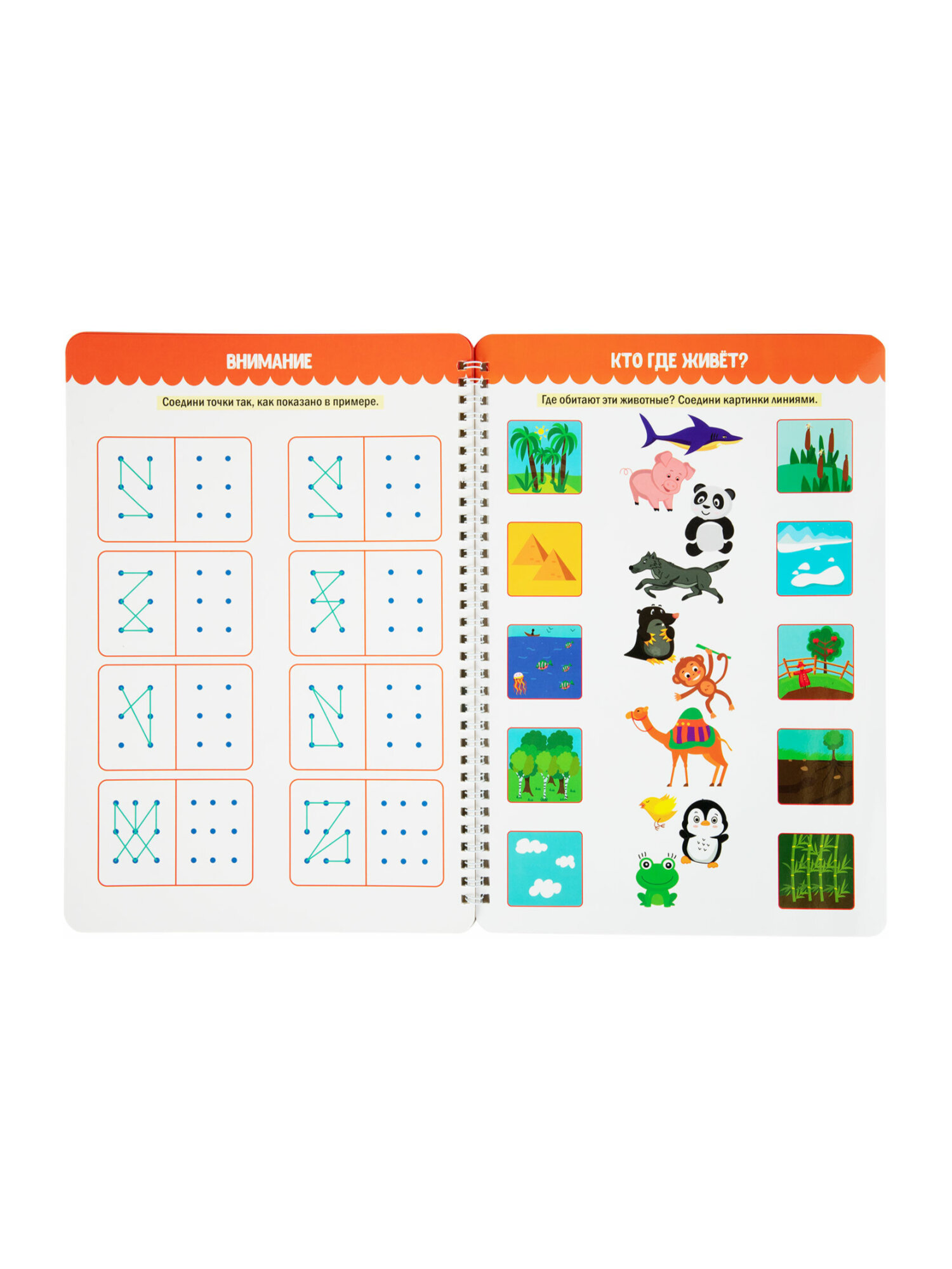 Тетрадь с заданиями Prof-Press развивающая для детей Пиши Стирай Играй от 5 лет - фото 19