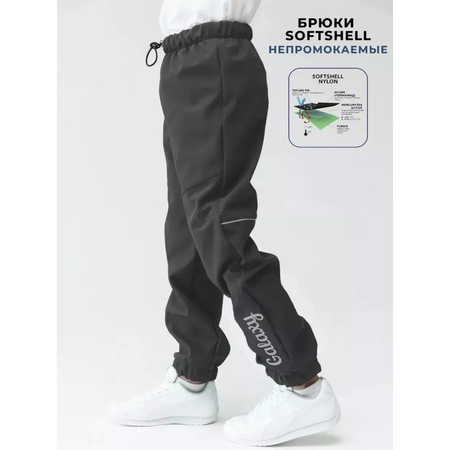 Брюки Lemonwear