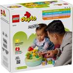 Конструктор LEGO DUPLO 10441 17 дет.