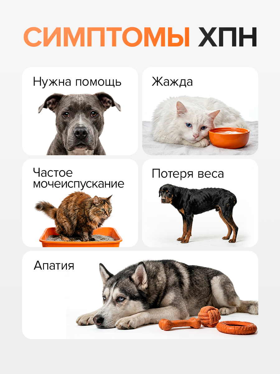 Кормовая добавка Pets health Уреабаланс для кошек и собак при ХПН - фото 7