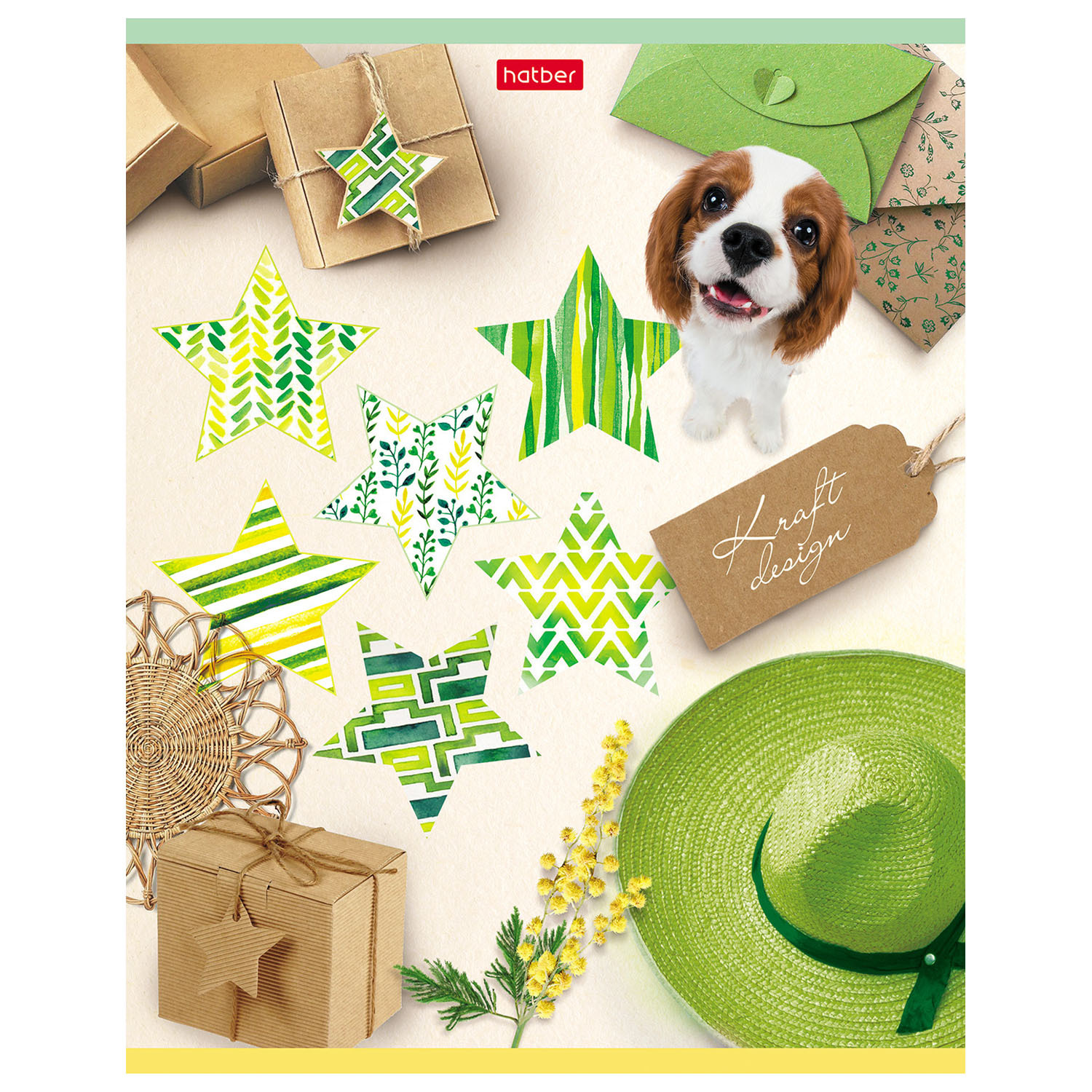 Общая тетрадь Hatber клетка 48 лист. в ассортименте - фото 4