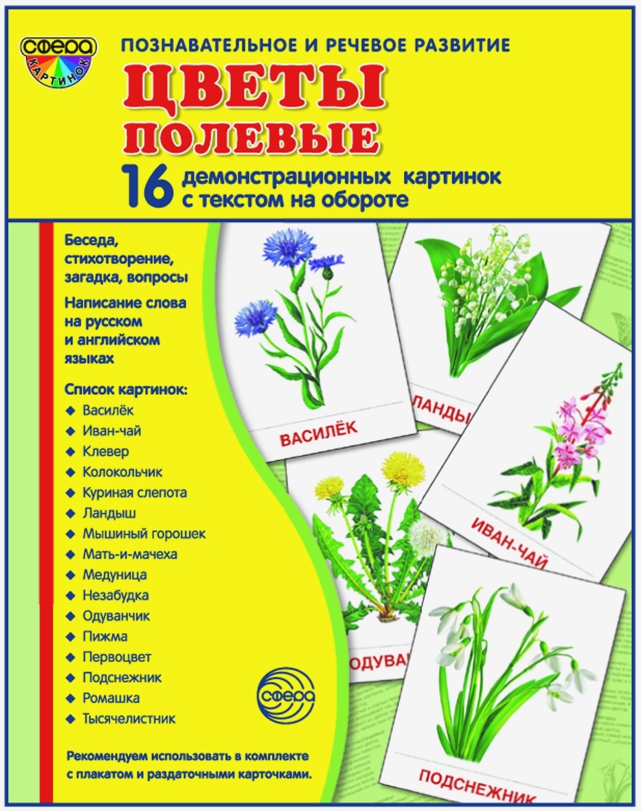Карточки ТЦ Сфера Цветы полевые - фото 1