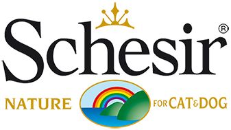Schesir