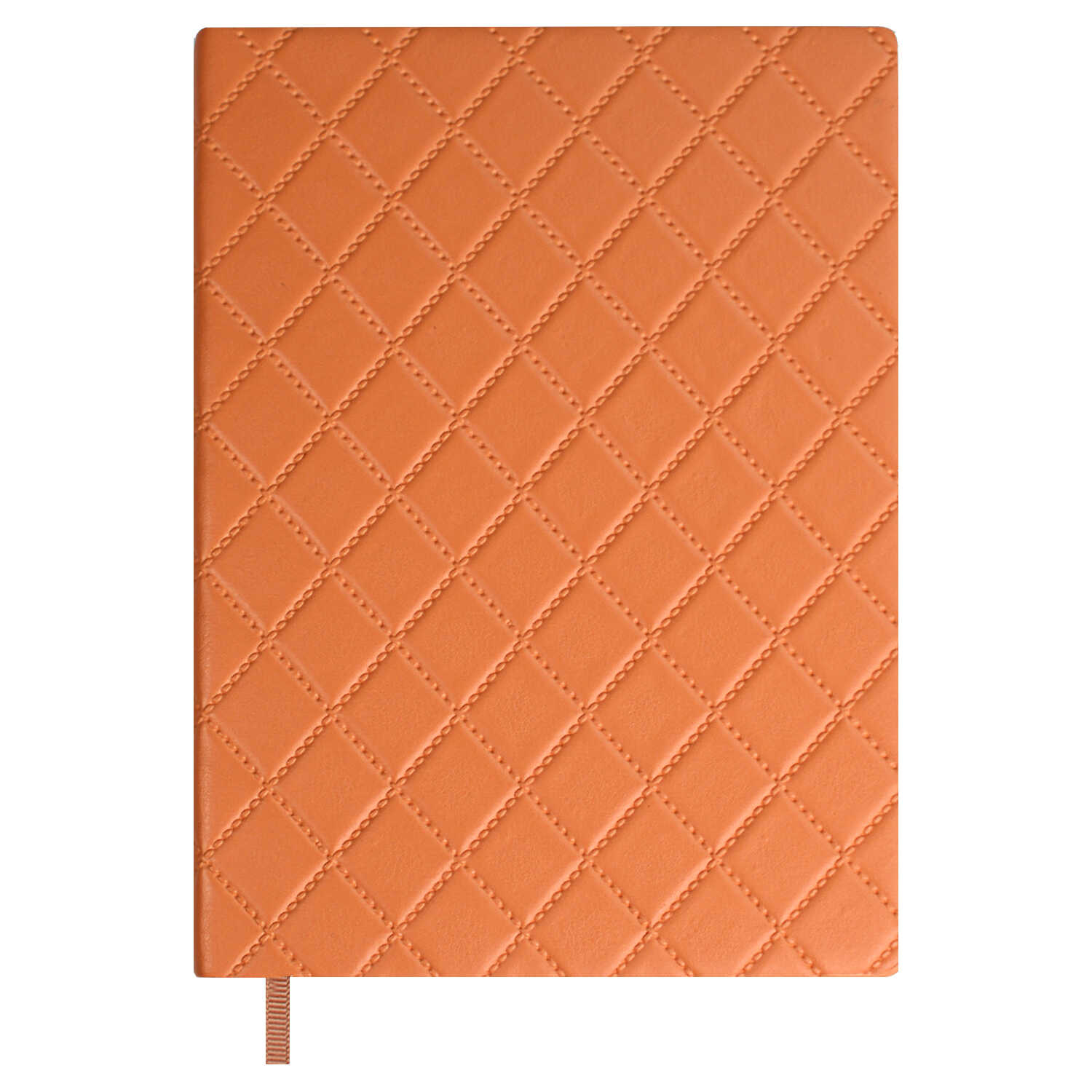 Ежедневник Феникс + ESCALADA 160 лист. - фото 1