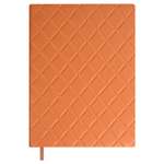 Ежедневник Феникс + ESCALADA 160 лист.