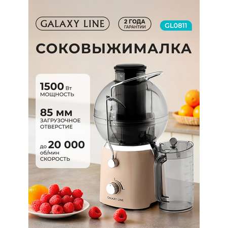 Соковыжималка Galaxy LINE GL0811 ДЫМЧАТАЯ РОЗА