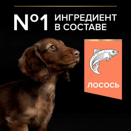 Корм для щенков PRO PLAN мелких и миниатюрных пород с чувствительной кожей с комплексом Optiderma лосось с рисом 700г