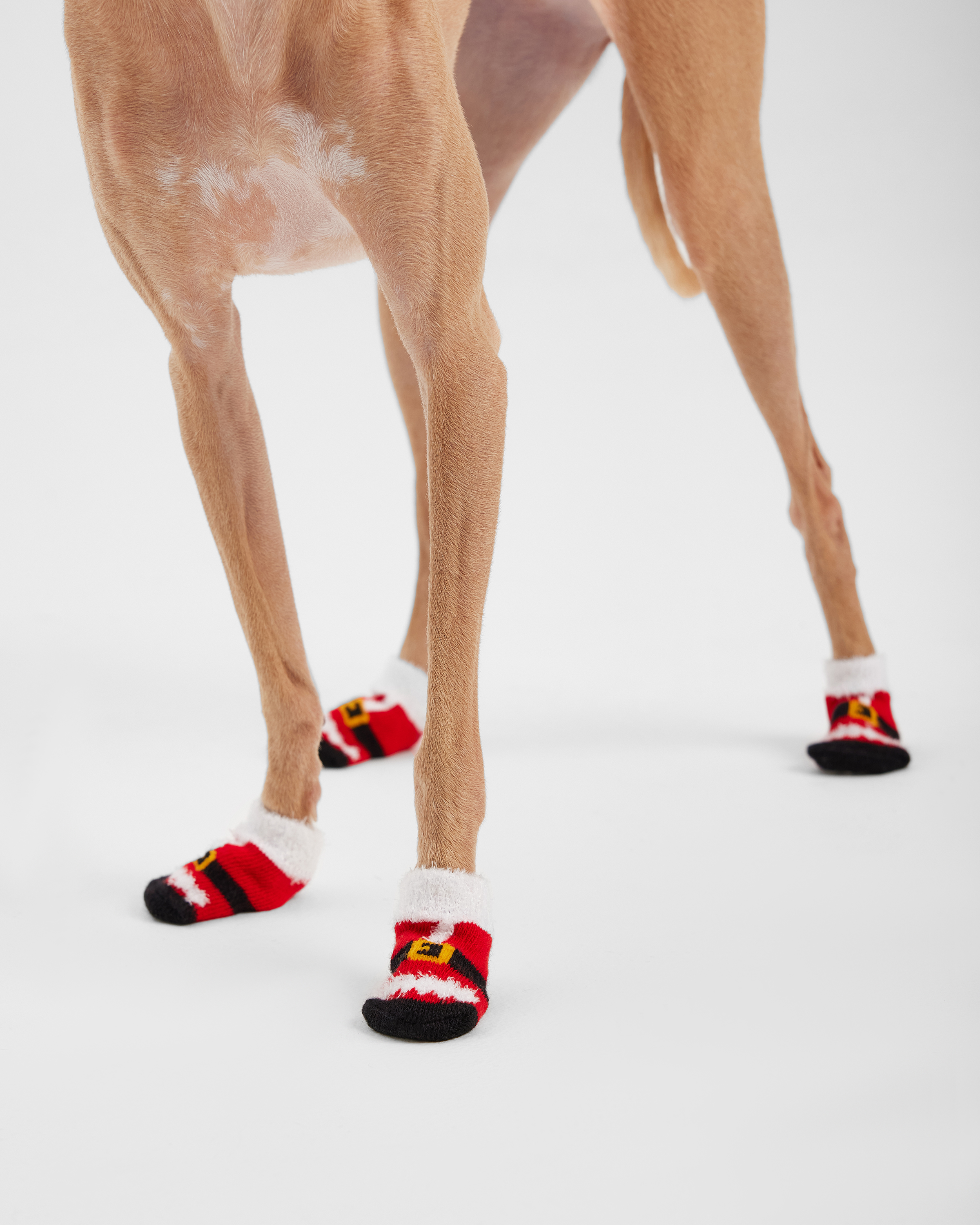 Носочки для собак и кошек Зоозавр 4 шт - фото 7