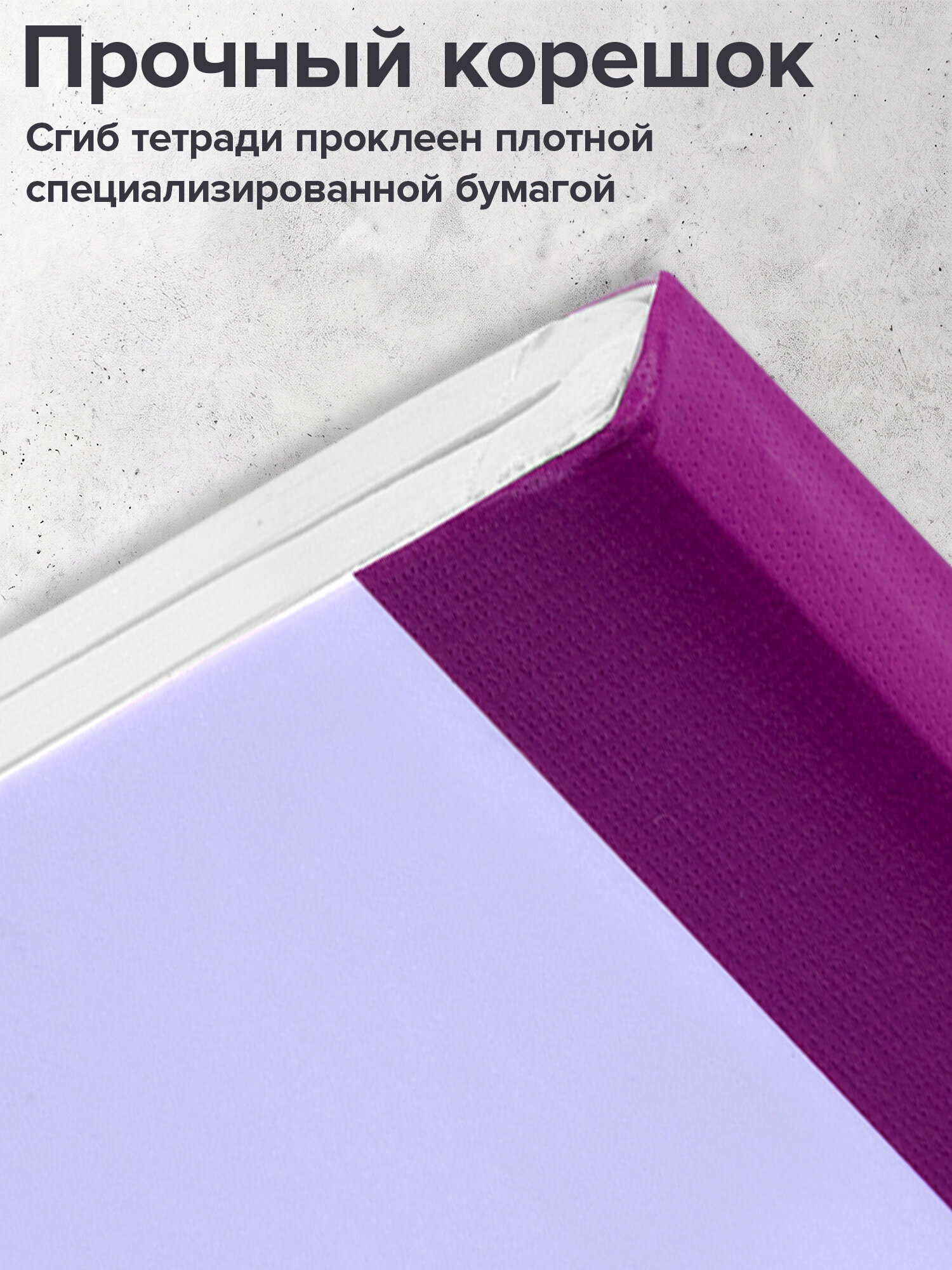 Тетрадь Brauberg клетка 96 лист. 2 шт. - фото 4
