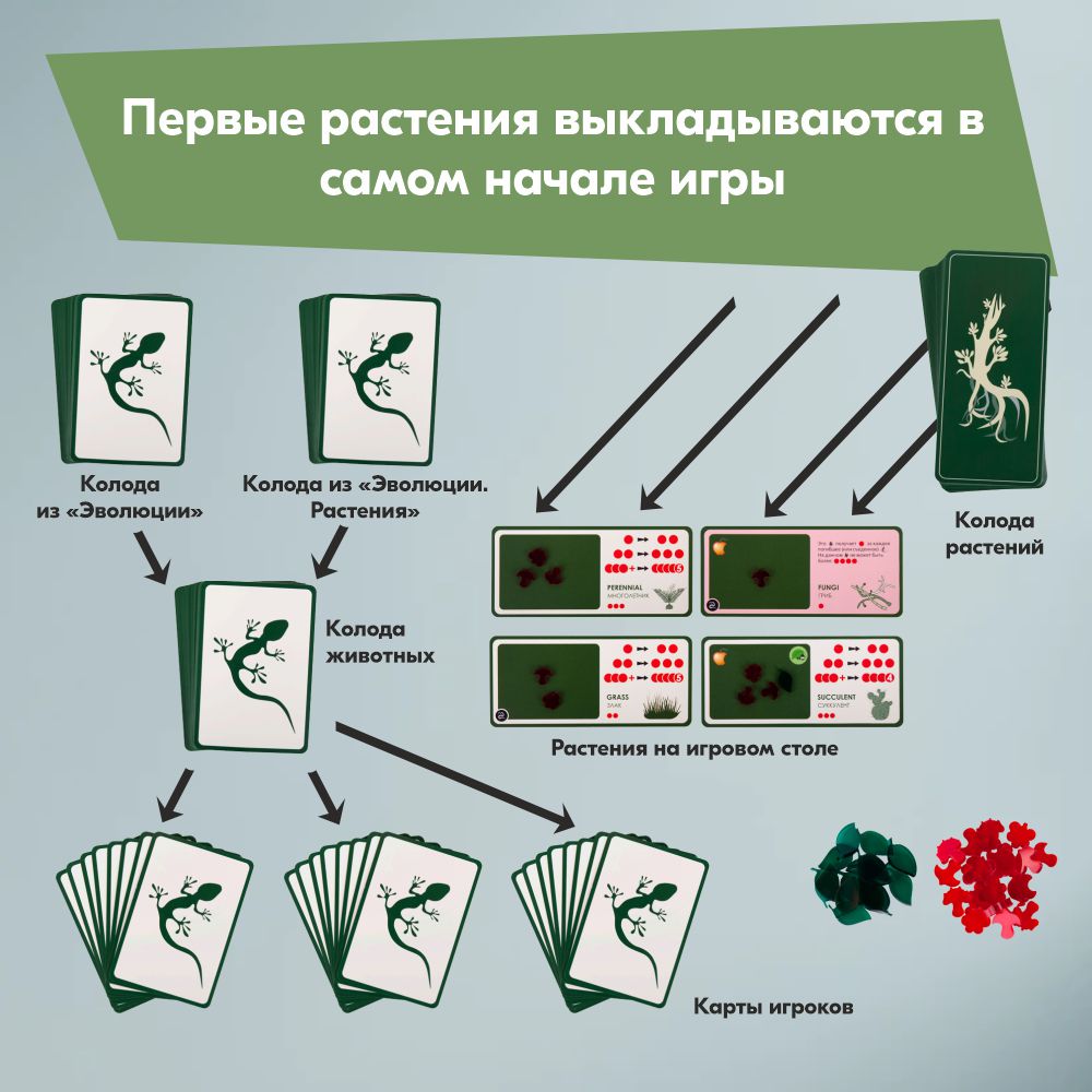 Настольная игра Правильные Игры Эволюция Растения - фото 7