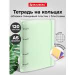 Тетрадь со сменным блоком Brauberg клетка 120 лист.