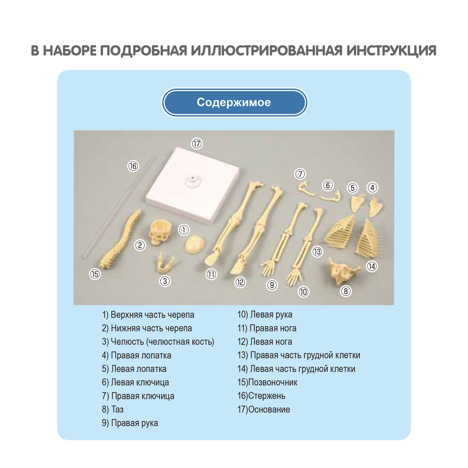 Наглядное пособие Bondibon Науки с Буки - фото 9