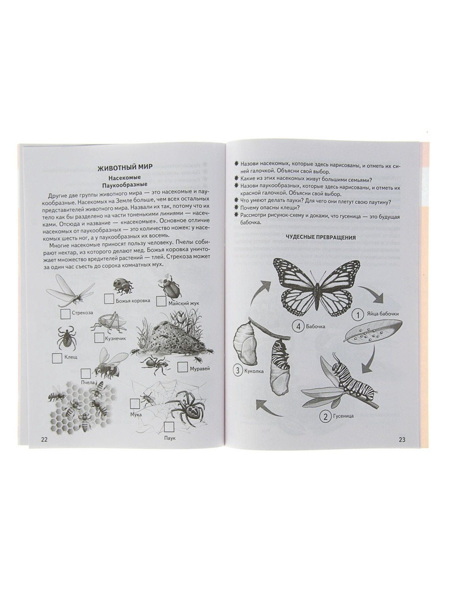 Рабочая тетрадь Литур Знакомимся с окружающим миром 5-6 лет - фото 6