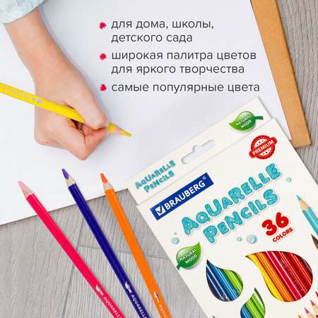 Карандаши акварельные Brauberg 36 шт.
