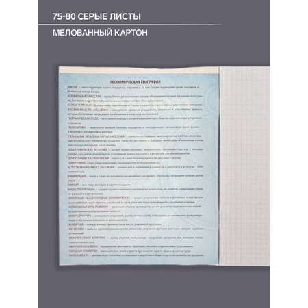 Общая тетрадь Calligrata клетка 48 лист. 1 шт.