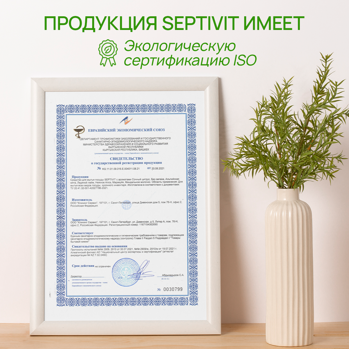 Средство для мытья посуды SEPTIVIT Альпийская мята 5л - фото 9