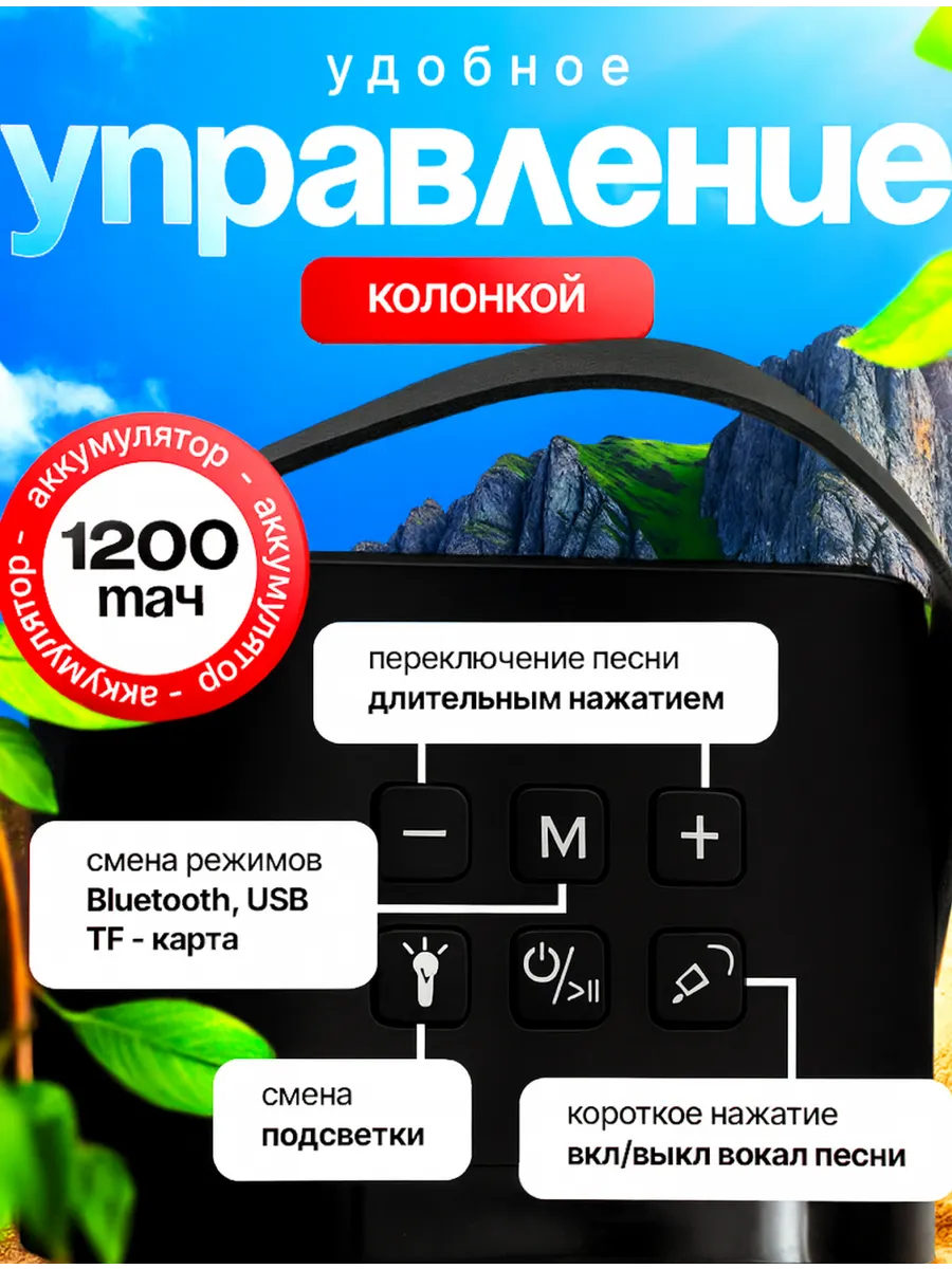 Колонка bluetooth, умная CASTLELADY караоке с 2 микрофонами - фото 5
