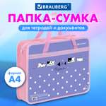 Папка для тетрадей Brauberg А4