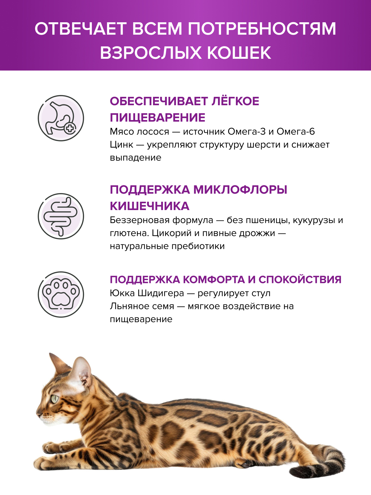 Корм для кошек DOCTRINE сухой для чувствительного пищеварения с индейкой и кроликом 800 г - фото 2