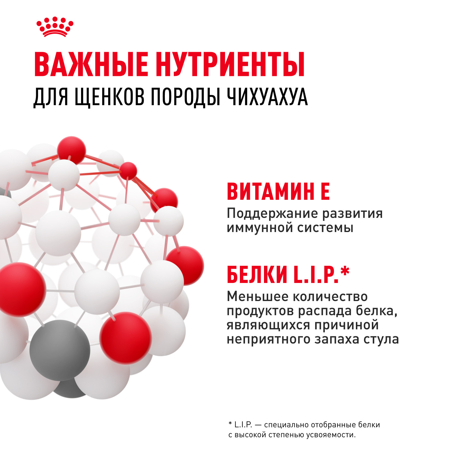 Корм для щенков ROYAL CANIN Junior породы чихуахуа 1.5кг - фото 5