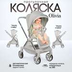 Коляска прогулочная Farfello Olivia