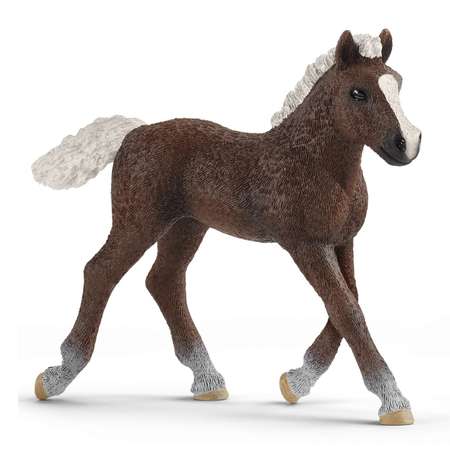 Фигурка SCHLEICH Жеребенок Шварцвальдский