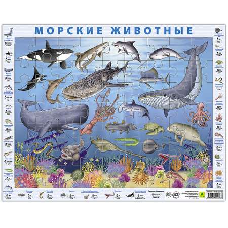 Пазл РУЗ Ко классический